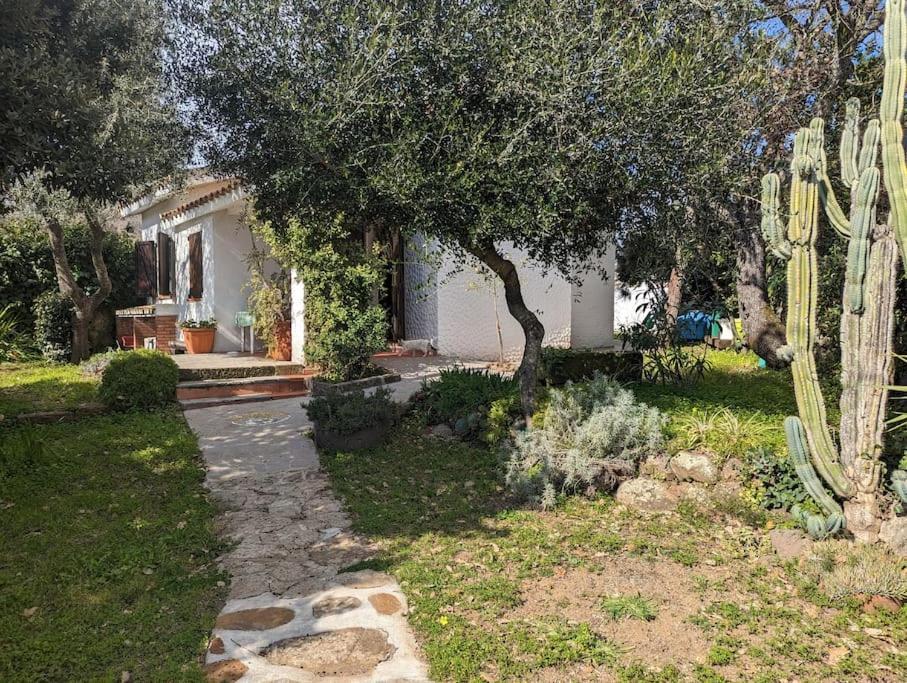 Cottage Familiare Sant'Agostino Abbasanta المظهر الخارجي الصورة
